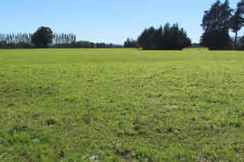 274 Sheddan Road, Tapanui