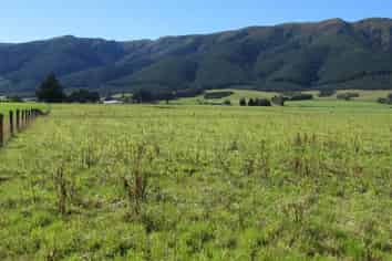 274 Sheddan Road, Tapanui