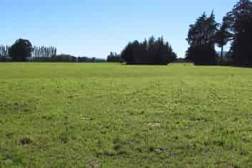 274 Sheddan Road, Tapanui