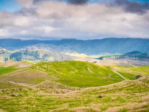 313 Te Wera Road, Matawai