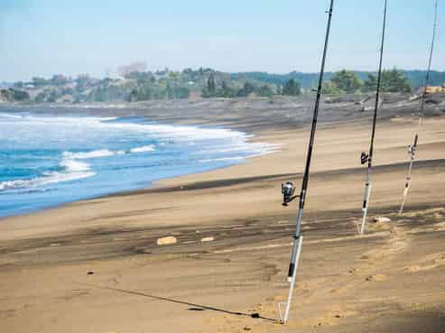 10 Beach Road, Tangoio Development, Hastings