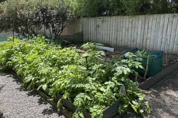 E5, 71 Moir Street, Mangawhai