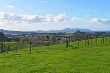 210 Staniforth Road, Wellsford