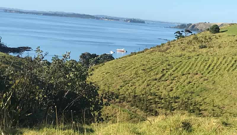 29 Ocean View Cres, Rakino Island