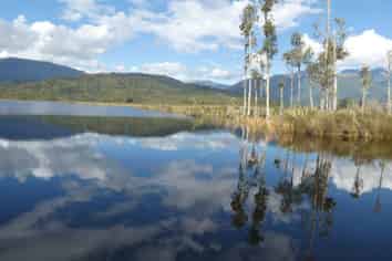 785 Lake Brunner Road, Moana / Lake Brunner