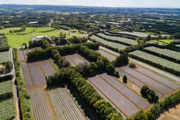 1433 State Hwy 10, Kerikeri