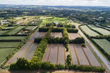 1433 State Hwy 10, Kerikeri