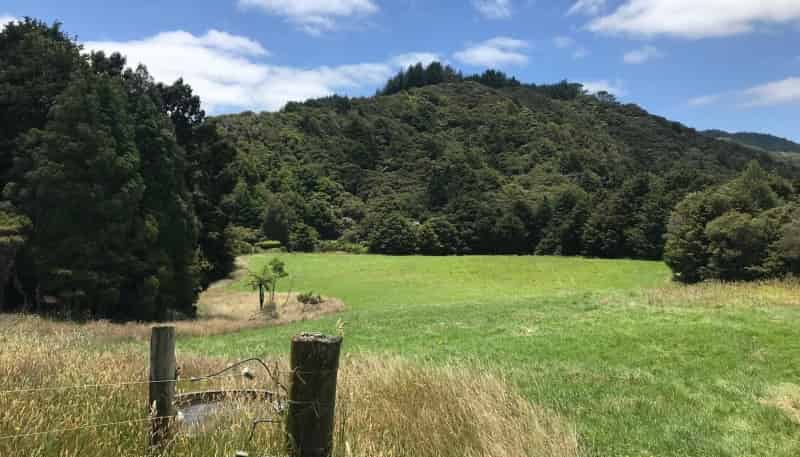 678 Gorge Road, Maungaturoto