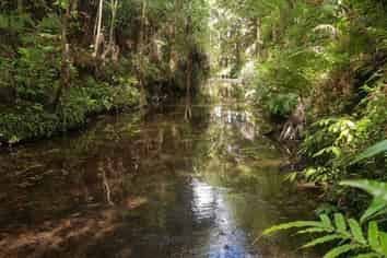 678 Gorge Road, Maungaturoto