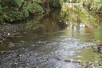 678 Gorge Road, Maungaturoto