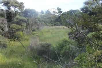 Transfer T x 2, Taupaki