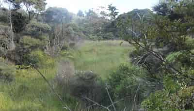 Transfer T x 2, Taupaki