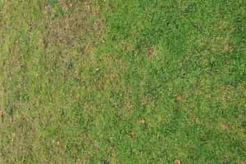 Auckland - Address withheld