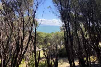 10 Ngarimu Heights Row, Te Puru