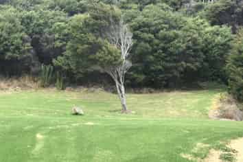 10 Ngarimu Heights Row, Te Puru