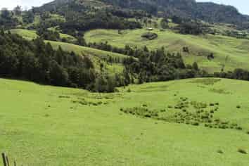  15ha - Totara North Road, Taupo Bay/Totara North