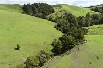  15ha - Totara North Road, Taupo Bay/Totara North