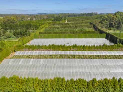  Orchard Road, Kerikeri