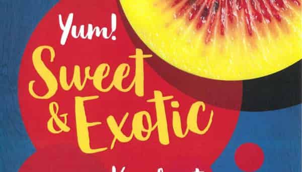  Orchard Road, Kerikeri