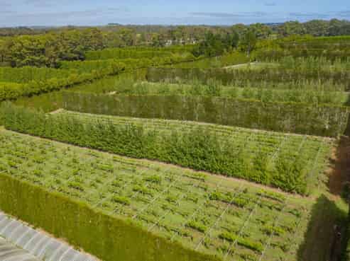  Orchard Road, Kerikeri