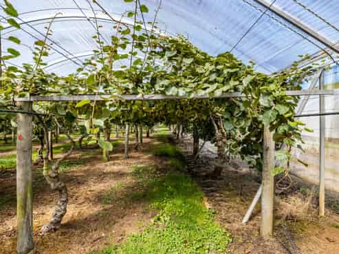  Orchard Road, Kerikeri