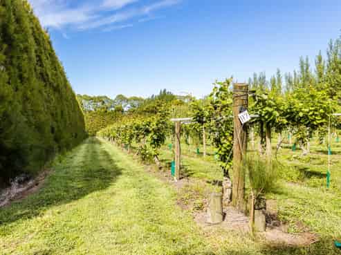  Orchard Road, Kerikeri