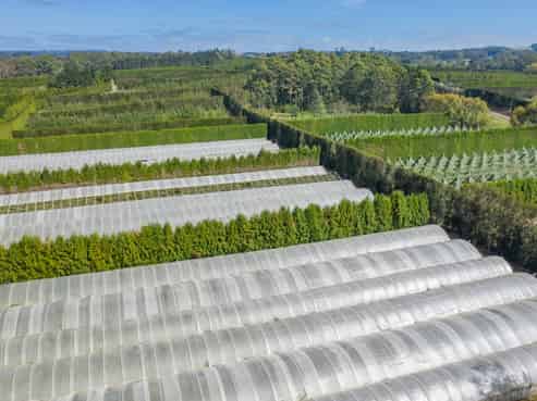  Orchard Road, Kerikeri