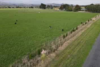 123 Jackson Road, Woodville