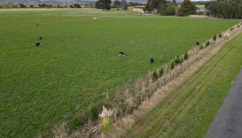 123 Jackson Road, Woodville