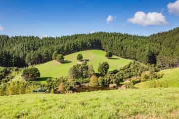 923 Lot 3, Puketona Road, Kerikeri