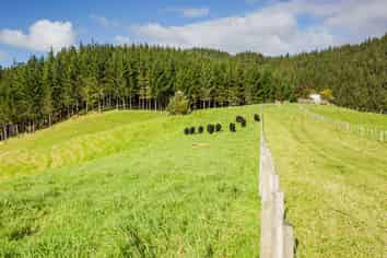 923 Lot 3, Puketona Road, Kerikeri