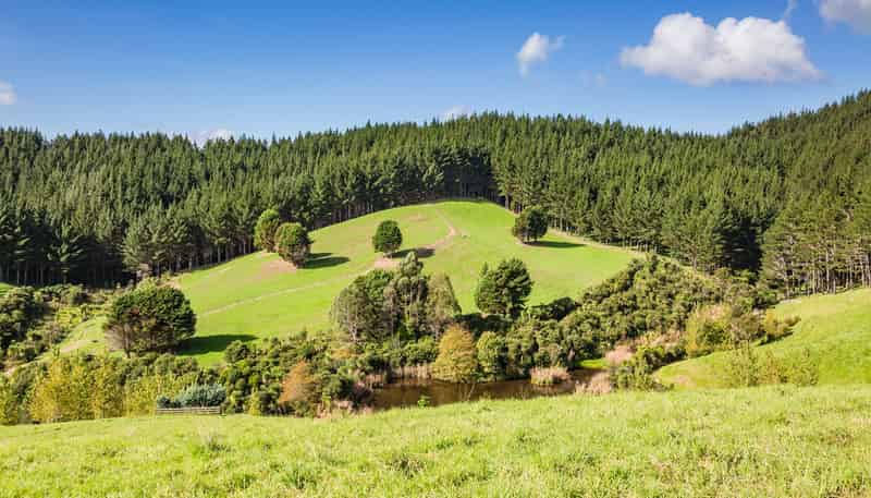 923 Lot 3, Puketona Road, Kerikeri