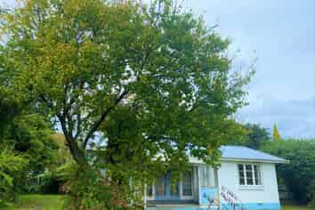 30 Makere Street, Taumarunui
