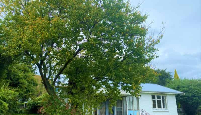 30 Makere Street, Taumarunui