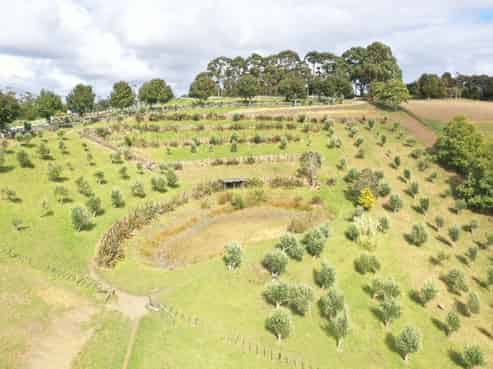 424 Whitmore Road, Matakana