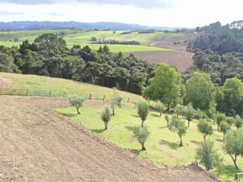 424 Whitmore Road, Matakana