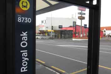 ROYAL OAK RETAIL WITH GREAT EXPOSURE