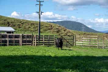 250 Endean Road, Ngongotaha