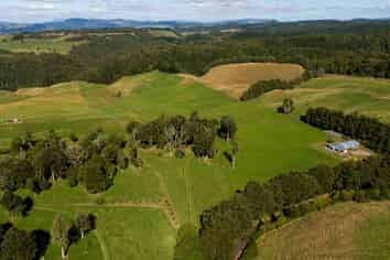 250 Endean Road, Ngongotaha