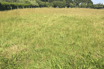 33 Ohau Terraces, Ohau