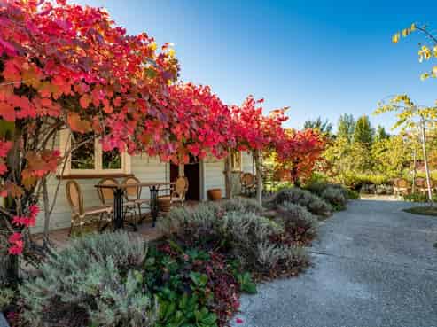 3196 Fruitlands-Roxburgh Road, Roxburgh