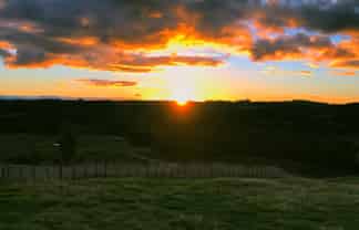 659C Whangamata Road, Kinloch