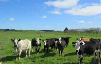 22 Davidson Road, Wyndham Surrounds