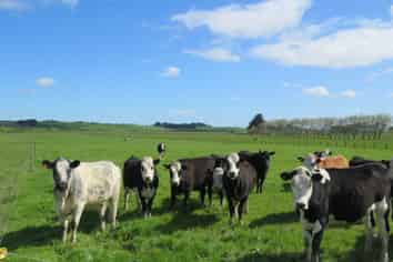 22 Davidson Road, Wyndham Surrounds