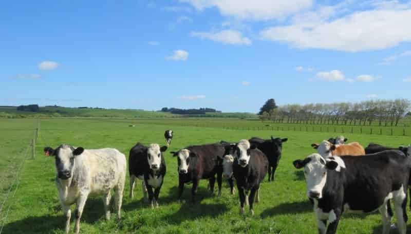 22 Davidson Road, Wyndham Surrounds