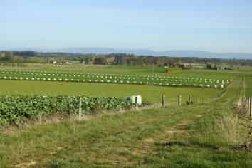 315 Deans Road, Winton