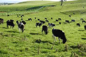 315 Deans Road, Winton