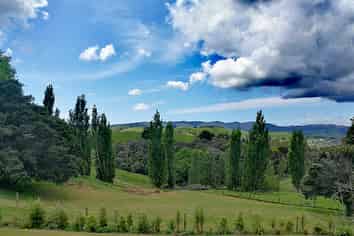 39 Gorge Road, Maungaturoto