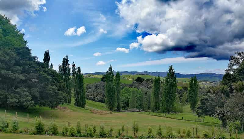 39 Gorge Road, Maungaturoto