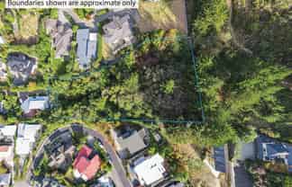 6 Plumwood Lane, Cashmere